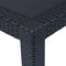vidaXL - Tuintafel - 220x90x72 - cm - rattan-look - kunststof - antraciet