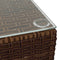 vidaXL - Tuintafel - 60x60x30 - cm - poly - rattan - en - glas - bruin