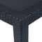 vidaXL - Tuintafel - 79x79x72 - cm - rattan-look - kunststof - antraciet