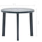 vidaXL - Tuintafel - 89 - cm - kunststof - groen
