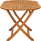 vidaXL - Tuintafel - inklapbaar - 160x85x75 - cm - massief - eucalyptushout