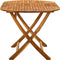 vidaXL - Tuintafel - inklapbaar - 160x85x75 - cm - massief - acaciahout