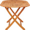vidaXL - Tuintafel - inklapbaar - 160x85x75 - cm - massief - eucalyptushout
