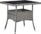 vidaXL - Tuintafel - poly - rattan - en - glas - grijs
