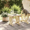 vidaXL - Tuinvoetenbank - 40x36,5x38,5 - cm - massief - vurenhout