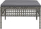 vidaXL - Tuinvoetenbank - met - kussen - poly - rattan - grijs