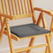 vidaXL - Tuinzitkussens - 2 - st - vierkant - 45x45x2 - cm - antracietkleurig