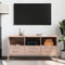 vidaXL - Tv-meubel - 100,5x39x50,5 - cm - staal - roze