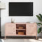 vidaXL - Tv-meubel - 100,5x39x50,5 - cm - staal - roze