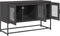 vidaXL - Tv-meubel - 100,5x39x60,5 - cm - koudgewalst - staal - zwart