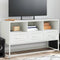 vidaXL - Tv-meubel - 100,5x39x60,5 - cm - staal - wit