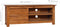 vidaXL - Tv-meubel - 100x30x40 - cm - massief - teakhout