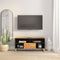 vidaXL - Tv-meubel - 100x33,5x46 - cm - massief - mangohout - bruin - en - zwart