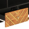 vidaXL - Tv-meubel - 100x33,5x46 - cm - massief - mangohout - bruin - en - zwart