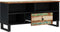 vidaXL - Tv-meubel - 100x33x46 - cm - massief - hout - gerecycled - en - bewerkt - hout
