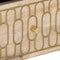 vidaXL - Tv-meubel - 100x33x46 - cm - massief - mangohout