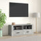 vidaXL - Tv-meubel - 100x35x40 - cm - bewerkt - hout - betongrijs