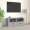 vidaXL - Tv-meubel - 100x35x40 - cm - bewerkt - hout - grijs - sonoma - eikenkleurig