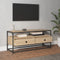 vidaXL - Tv-meubel - 100x35x45 - cm - bewerkt - hout - sonoma - eikenkleurig