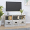vidaXL - Tv-meubel - 100x35x50 - cm - bewerkt - hout - betongrijs