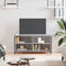 vidaXL - Tv-meubel - 100x40x50 - cm - bewerkt - hout - grijs - sonoma - eikenkleurig