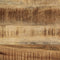 vidaXL - Tv-meubel - 100x42x40 - cm - massief - ruw - mangohout