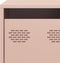 vidaXL - Tv-meubel - 101,5x39x43,5 - cm - koudgewalst - staal - roze