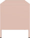 vidaXL - Tv-meubel - 101,5x39x43,5 - cm - koudgewalst - staal - roze