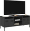 vidaXL - Tv-meubel - 101,5x39x43,5 - cm - koudgewalst - staal - zwart