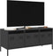 vidaXL - Tv-meubel - 101,5x39x43,5 - cm - koudgewalst - staal - zwart