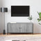 vidaXL - Tv-meubel - 102x35x45 - cm - bewerkt - hout - grijs - sonoma - eikenkleurig