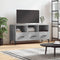 vidaXL - Tv-meubel - 102x36x50 - cm - bewerkt - hout - betongrijs