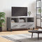 vidaXL - Tv-meubel - 102x36x50 - cm - bewerkt - hout - grijs - sonoma - eikenkleurig
