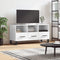 vidaXL - Tv-meubel - 102x36x50 - cm - bewerkt - hout - hoogglans - wit
