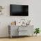 vidaXL - Tv-meubel - 102x44,5x50 - cm - bewerkt - hout - betongrijs