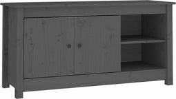 vidaXL - Tv-meubel - 103x36,5x52 - cm - massief - grenenhout - grijs