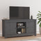 vidaXL - Tv-meubel - 103x36,5x52 - cm - massief - grenenhout - grijs