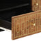 vidaXL - Tv-meubel - 105x33x46cm - massief - mangohout