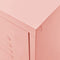 vidaXL - Tv-meubel - 105x35x50 - cm - staal - roze