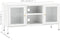 vidaXL - Tv-meubel - 105x35x52 - cm - staal - en - glas - wit