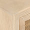 vidaXL - Tv-meubel - 110x30x40 - cm - massief - ruw - mangohout - en - ijzer