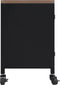 vidaXL - Tv-meubel - 110x30x43 - cm - ijzer - en - massief - vurenhout - zwart