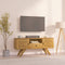 vidaXL - Tv-meubel - 110x30x50 - cm - massief - teakhout