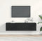 vidaXL - Tv-meubel - 120x30x30,5 - cm - spaanplaat - zwart - eikenkleurig