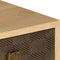 vidaXL - Tv-meubel - 120x30x40 - cm - massief - mangohout