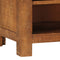 vidaXL - Tv-meubel - 120x30x40 - cm - massief - mangohout