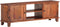 vidaXL - Tv-meubel - 120x30x41 - cm - massief - acaciahout - honingbruin