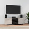 vidaXL - Tv-meubel - 120x40,5x35 - cm - bewerkt - hout - betongrijs