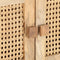 vidaXL - Tv-meubel - 140x30x40 - cm - massief - mangohout - en - natuurlijk - riet