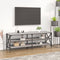 vidaXL - Tv-meubel - 140x40x50 - cm - bewerkt - hout - grijs - sonoma - eikenkleurig
